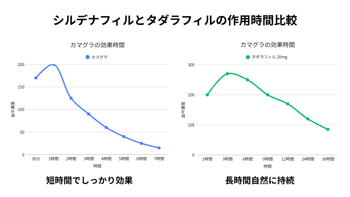 シルデナフィルとタダラフィルの作用時間比較