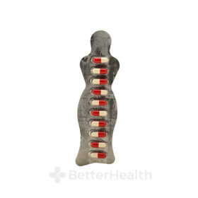 Slim Trim Active 60mg, スリムトリムアクティブ